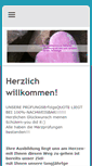 Mobile Screenshot of heilpraktikerschule-wetterau.de